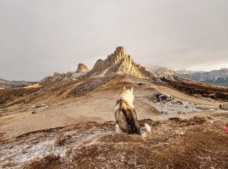 🐻‍❄️ Já neznám nikoho, kdo pořád jenom čumí! 😅 Jsem nad tím dneska přemýšlela a Marvel prostě furt jenom čumí, ale strašně...