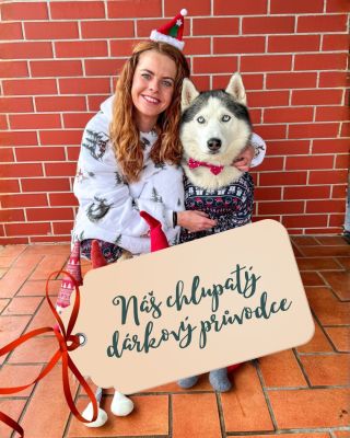 🎄Vánoce ❤️😀 Můj nejoblíbenější čas v roce! Pohoda, pohádky, deskovky a cukroví. Jestli chcete mít o chlup lepší svátky,...